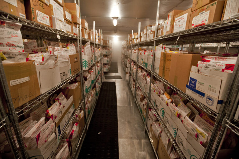 Tennessee Rushes to Hire Forensic Workers After Murder Reveals Backlog of Over 12,000 Rape Kits