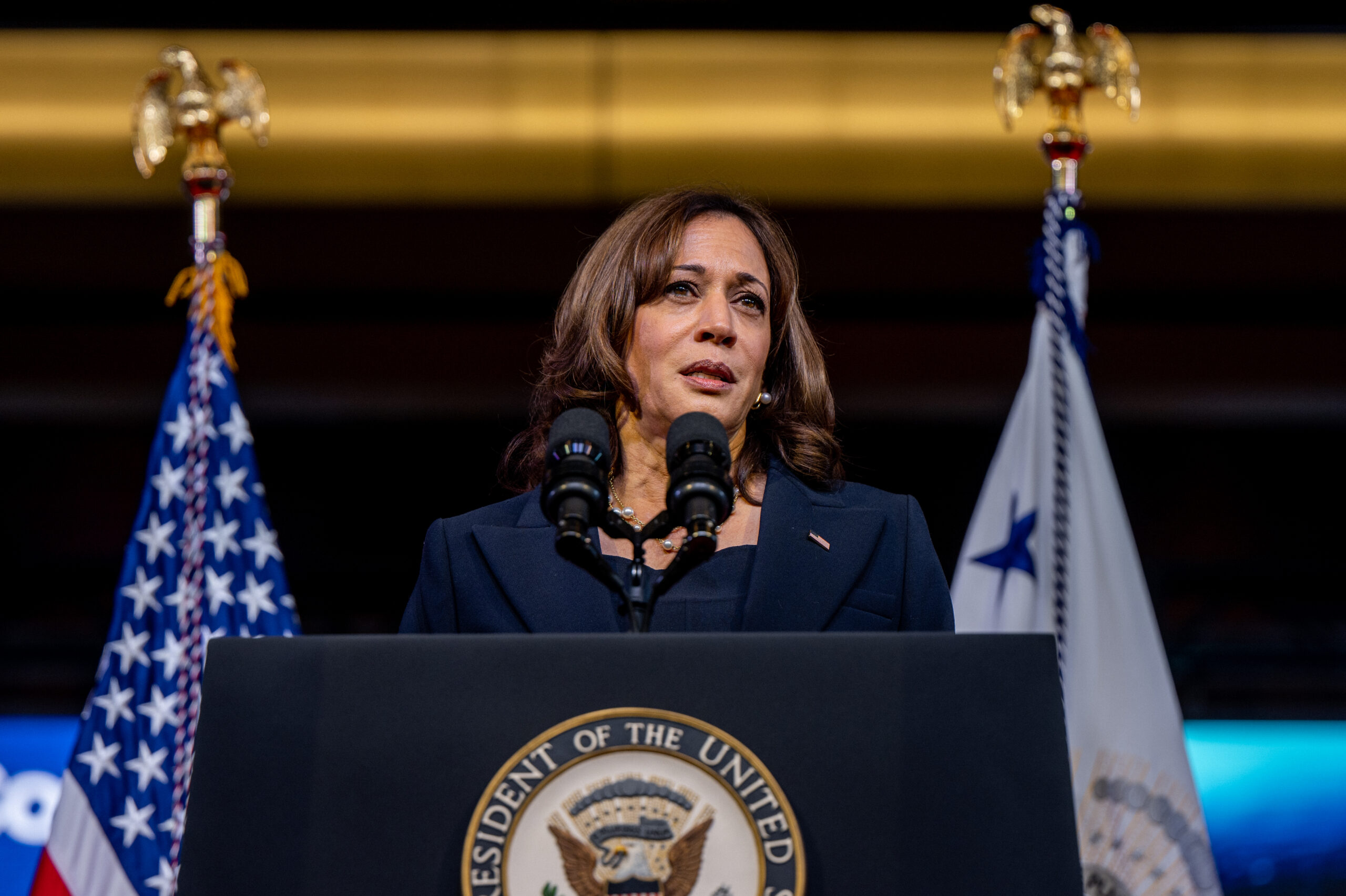 VP Kamala Harris Prepares for Fight of ‘Life’ Along With Democrats on Roe v. Wade 50th Anniversary
