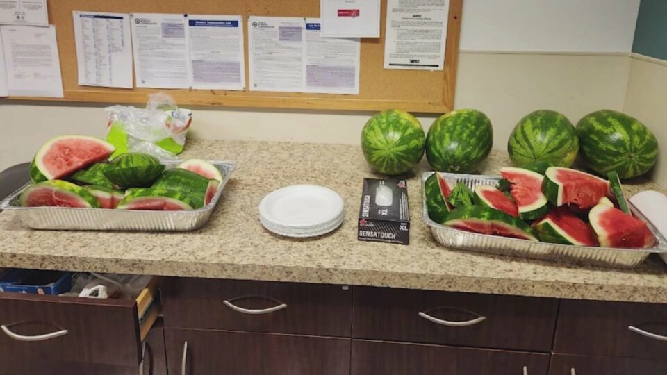 Toyota Under Fire For Only Serving Watermelon At Company Juneteenth Celebration