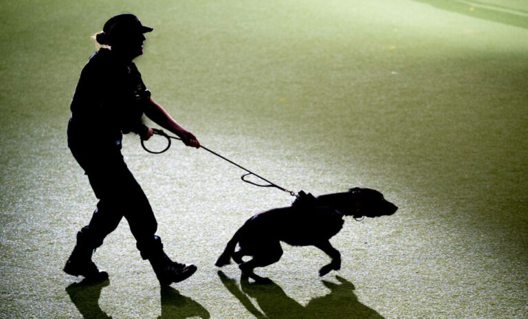 black man mauled, police dog, Ohio, Black