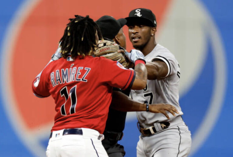 Tim Anderson Gets Decked, baseball