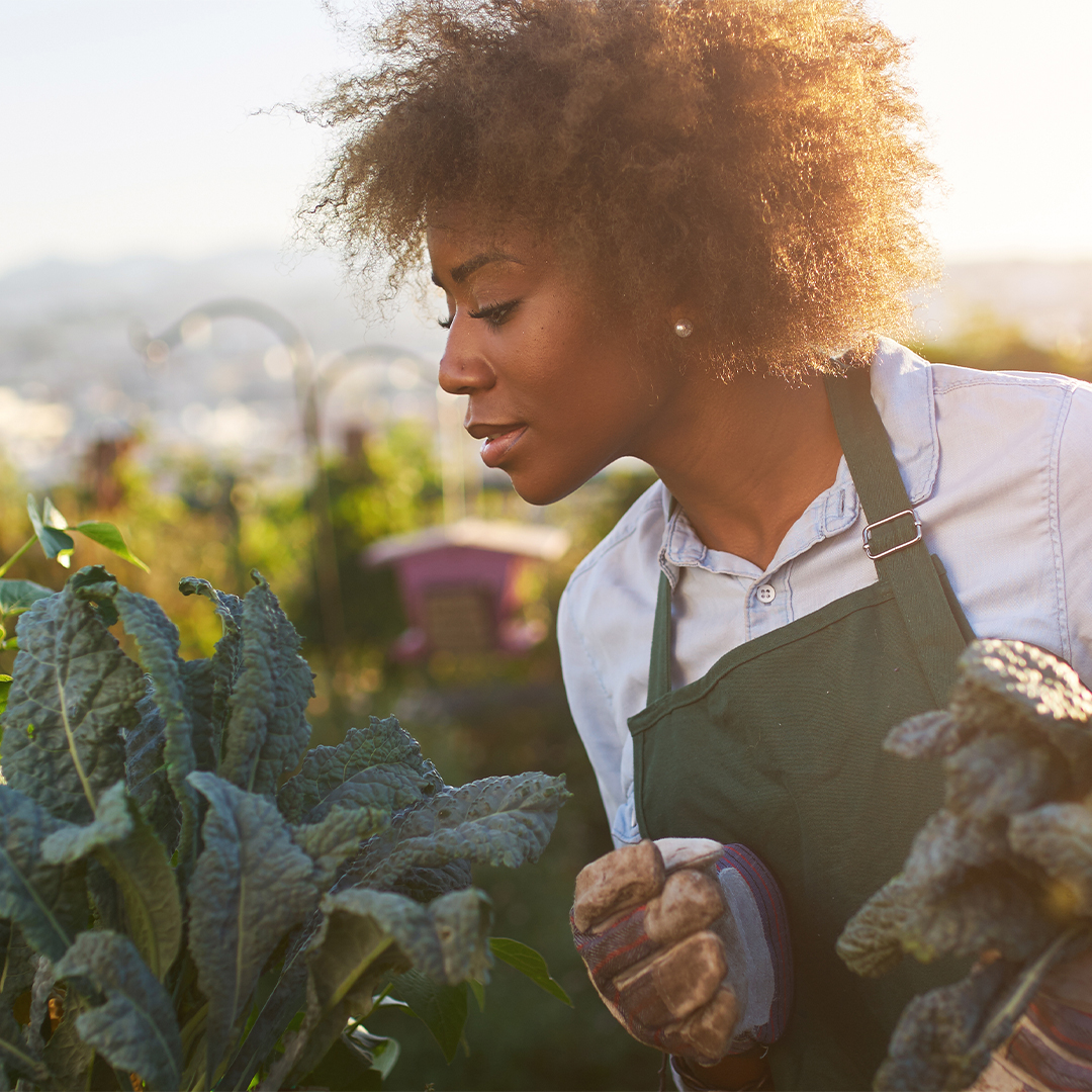 NMSDC, black business,Cultivating Equity in Black Agriculture, Cargill, acres program, farmers
