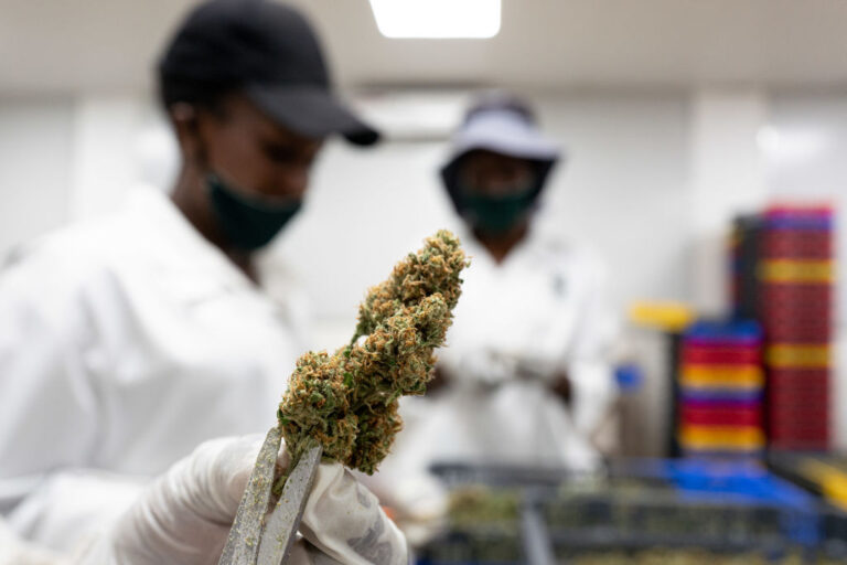 Detroit Grants 37 Cannabis Licenses, 13 Going To Black-Owned Businesses