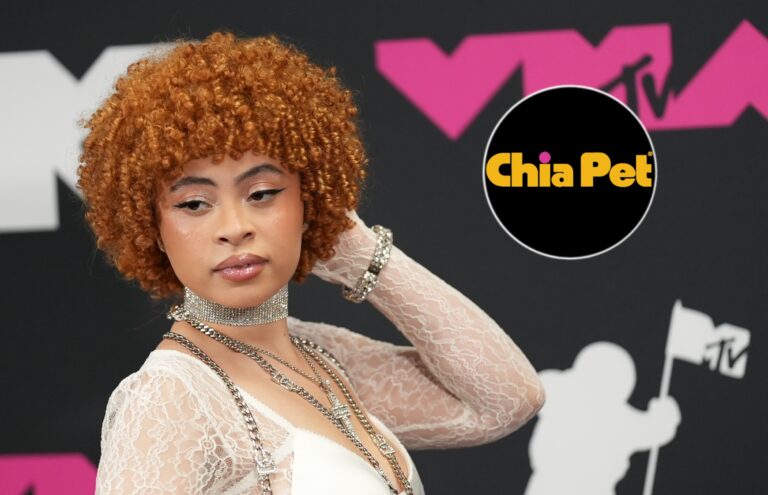 Ice Spice Is Now A Chia Pet