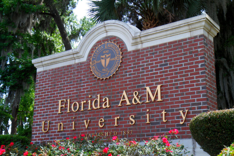 FAMU, Florida A&M University, Gerami, donation, donor