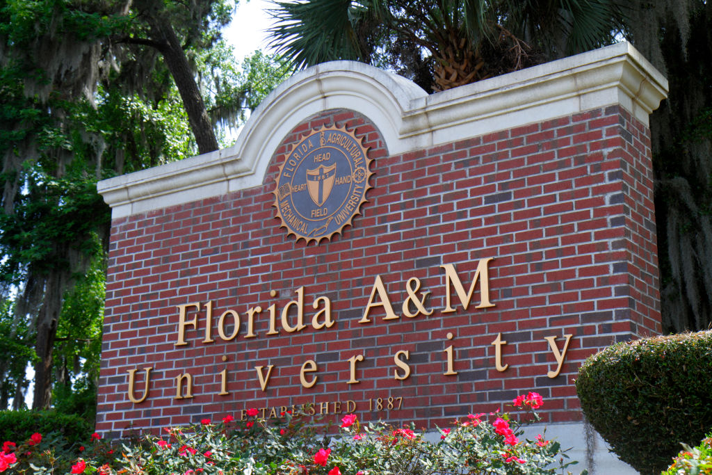 FAMU, Florida A&M University, Gerami, donation, donor, Friday-Stroud, gift, resignation