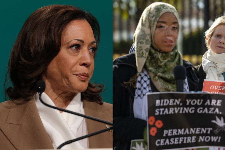 Kamala Harris Speech Stopped By Delaware Rep Calling For Ceasefire In Gaza