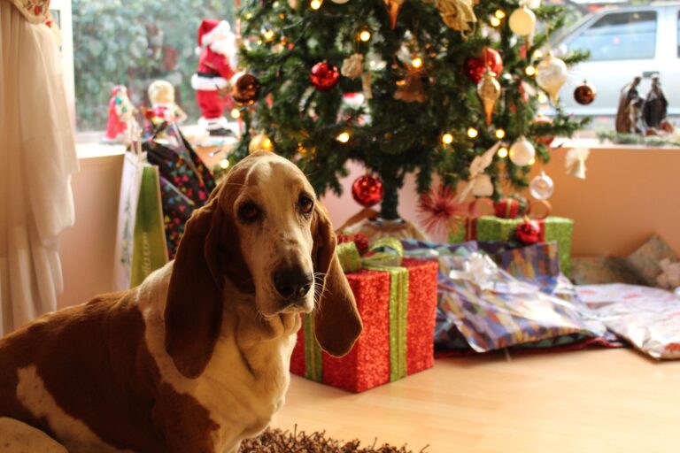 That’s My Dog! Holiday Gifts For People With Pups