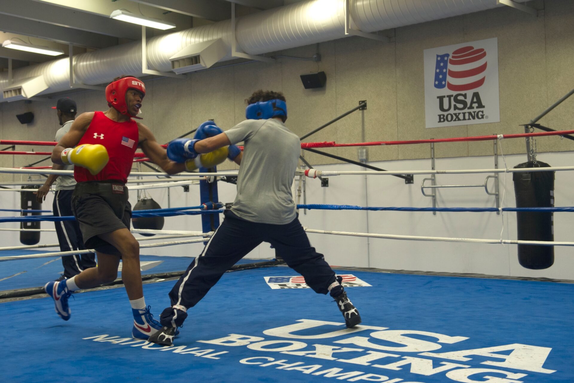 transgender boxers