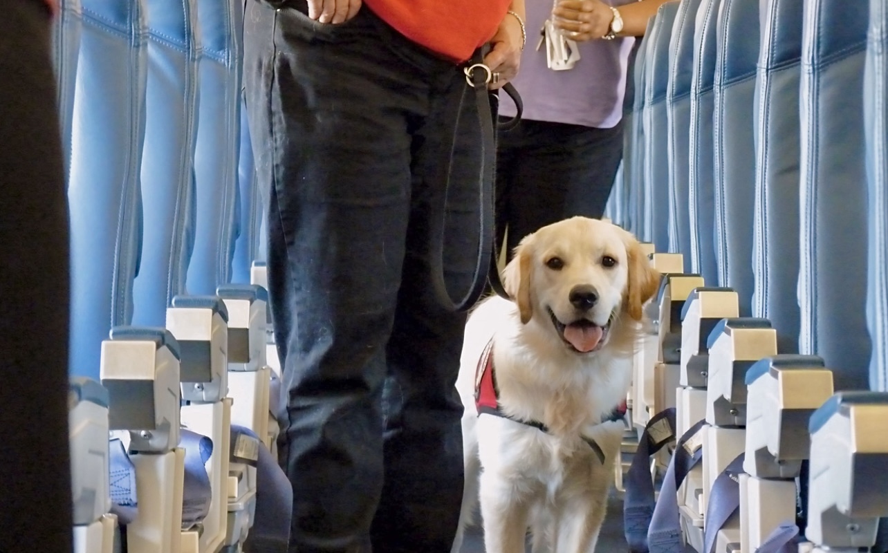 BARK Air sued for seat violation - Vimarsana News